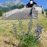 Apartamento Kolman *