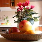 Apartman Kolman Tolmin