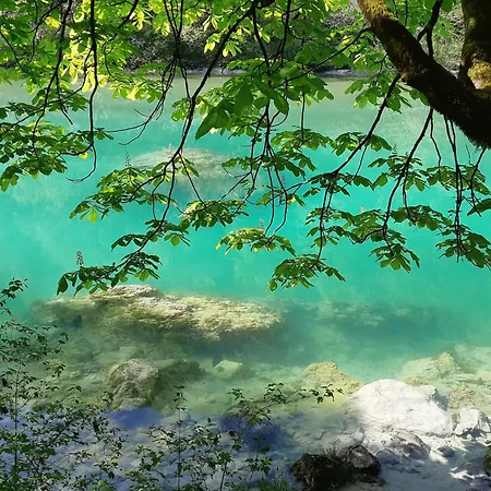 Kolman Appartement *