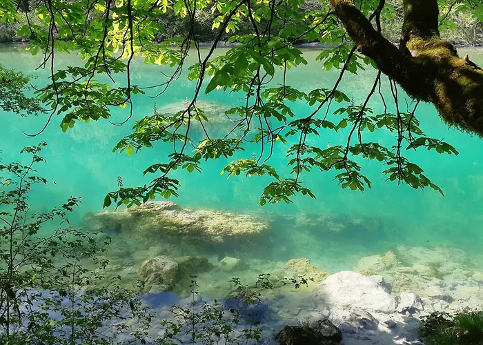 Kolman Appartamento *