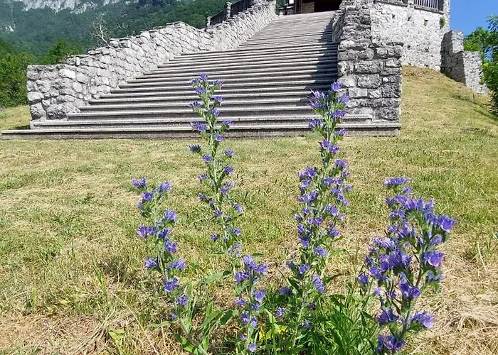 Appartamento Kolman *