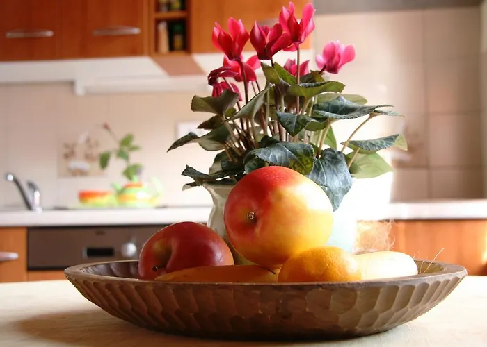 Appartamento Kolman Tolmin